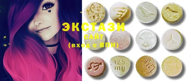 шишки Лабытнанги