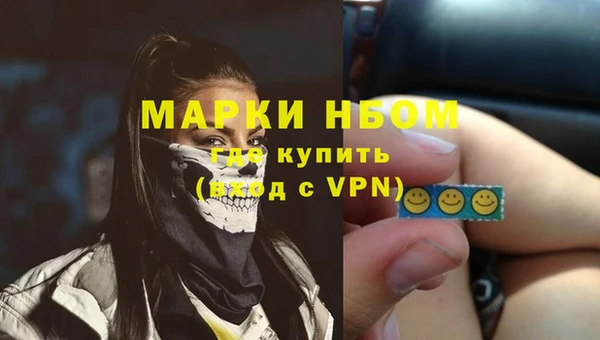 шишки Лабытнанги