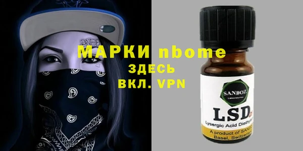 шишки Лабытнанги