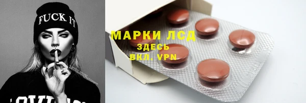 шишки Лабытнанги