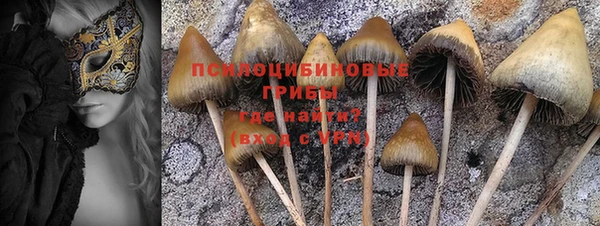 стаф Лагань