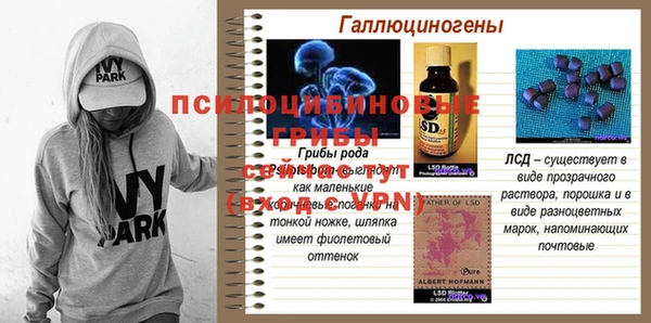 шишки Лабытнанги