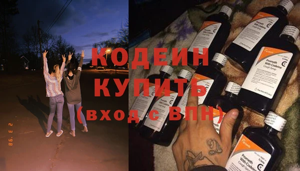 шишки Лабытнанги