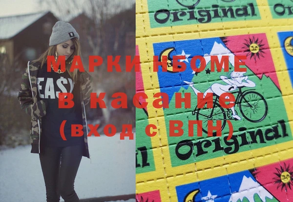 шишки Лабытнанги