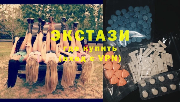 шишки Лабытнанги