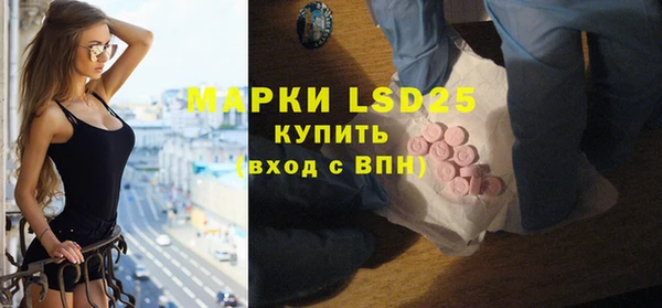 шишки Лабытнанги